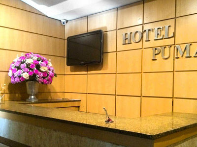 Puma Hotel 2*